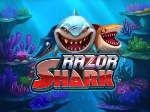 recension razor shark logo