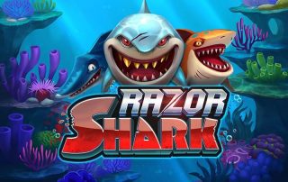recension razor shark logo